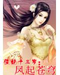 杀手傻妃十三岁:凤起苍穹