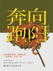 向阳奔跑(张耀&张雅钦主演《与你十年,予我半生》影视原著 )