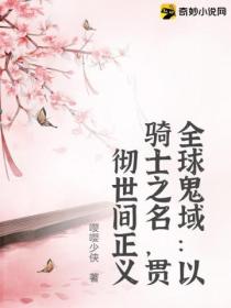 全球鬼域:以骑士之名,贯彻世间正义