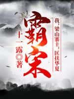 霸宋:我,梁山寨主,匡扶华夏!