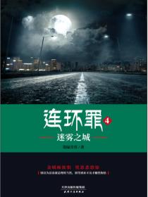 连环罪4:迷雾之城