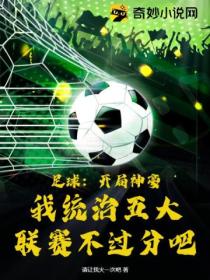 足球:开局神豪,我统治五大联赛不过分吧