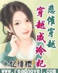 悲催穿越:穿越成冷妃