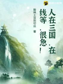 人在三国,在线等,很急!