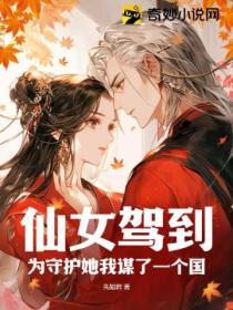 仙女驾到,为守护她我谋了一个国