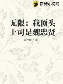 无限:我顶头上司是魏忠贤