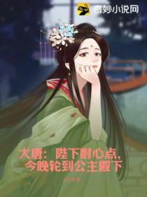 大唐:陛下耐心点,今晚轮到公主殿下