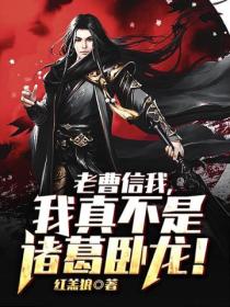 老曹信我,我真不是诸葛卧龙!