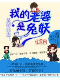 呆萌日志:我的老婆是兔妖