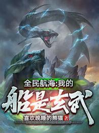 全民航海:我的船是玄武