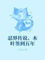 忍界传说,木叶签到五年
