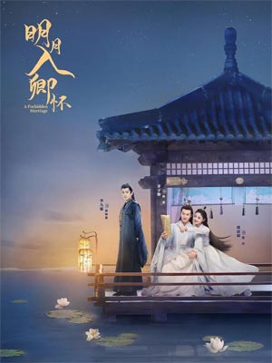 师叔你这样很容易失去我(明月入卿怀原著小说)